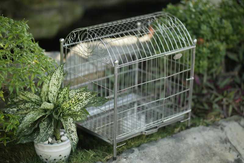 Lồng chó inox