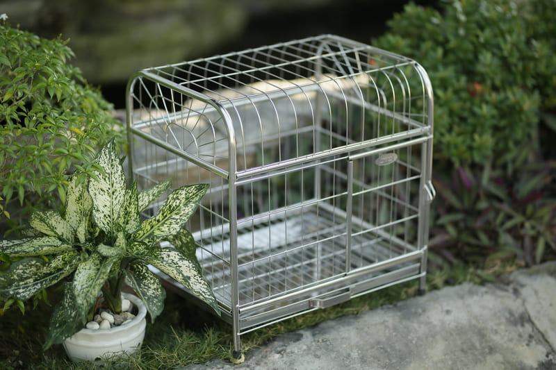 Chuồng chó bằng Inox Thái An
