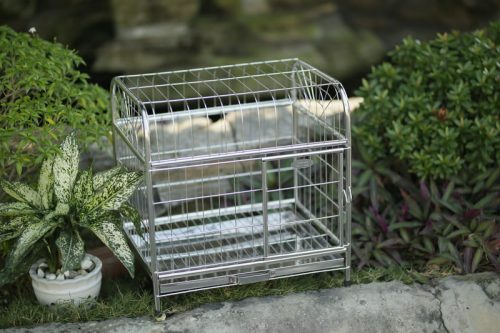 Lồng chó inox mái bằng