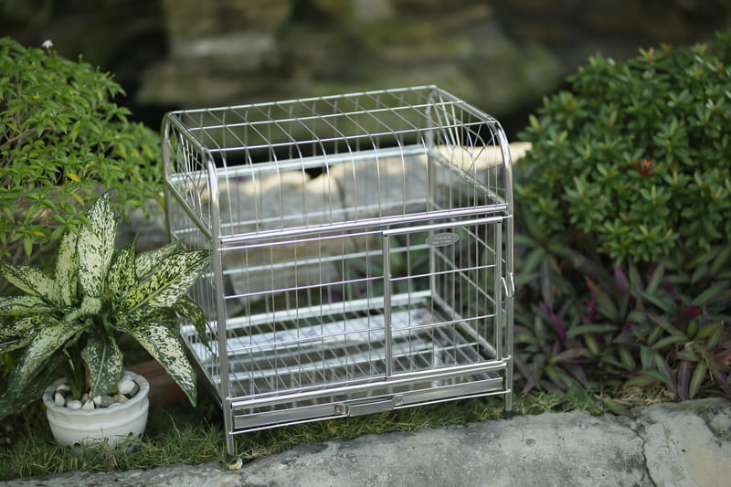 Lồng chó inox mái bằng