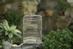 Lồng inox hoa văn có trang trí