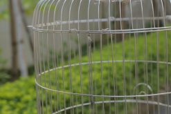 Lồng chim inox lắp ghép