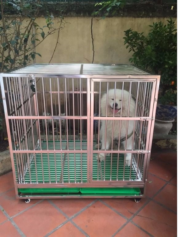 Chuồng chó lắp ghép thái an
