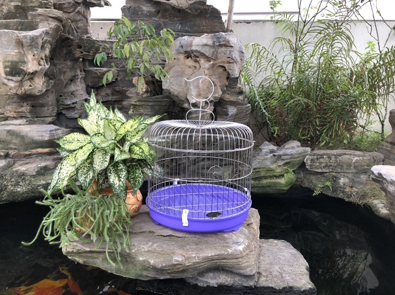 Lồng chim bằng inox lắp ghép