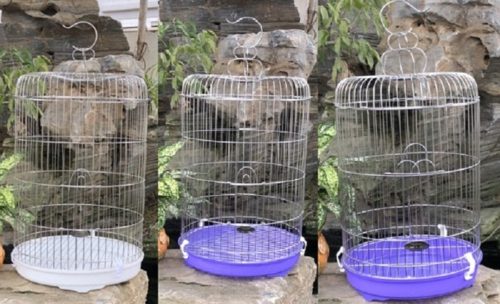 lồng chim inox Thái An