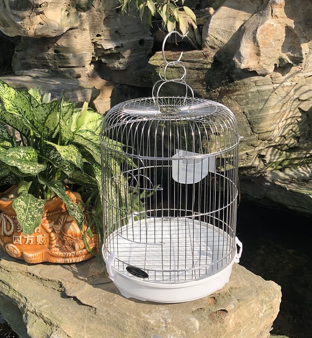 Chuồng chim khuyên inox