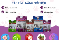 Cát vệ sinh chó mèo Thái An